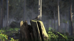 ���������꡼ No.010�Υ���ͥ������ / ���뱽�򤭤ä��������ڥ���������­��Ƨ������뤬�ġġ��ե�ܥ����ǳڤ����SF�����ڥ󥹥Υ٥�ּ�����ϩ�ס�Steam���ۿ�����