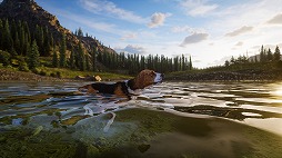 画像ギャラリー No.006のサムネイル画像 / オープンワールド狩猟シム「Way of the Hunter 2」,早期アクセスをSteamで開始。PS5/Xbox Series X|S版の発売も決定