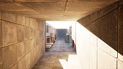 ノースウェステリアの子供