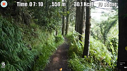 ウォーキング・ダイエット