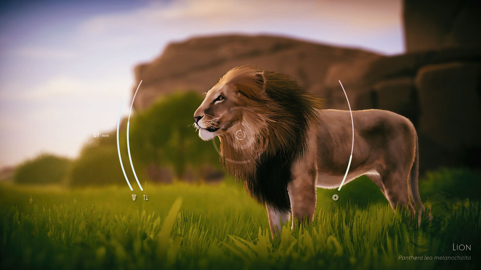 東アフリカで野生動物の写真を撮影する癒し系シム「Seclusa」,Steamでリリース。ゆったりとリラックスした時間を楽しめる