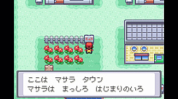 ポケットモンスター リーフグリーン