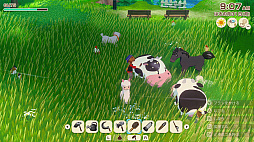 牧場物語 Let's！風のグランドバザール