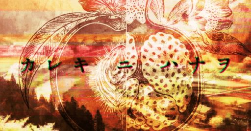 画像ギャラリー No.001のサムネイル画像 / 「紙岡聖子（仮）に関する考察」を手がけたSIM3の新作「カレキニハナヲ」が公開中。Webサイトを調査する全編無料のミステリーゲーム