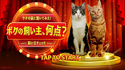 ウチの猫に聞いてみた！ボクの飼い主、何点？飼い主チェックーあなたの愛猫、実は辛口！？ 飼い主への本音、ついに解禁！ー