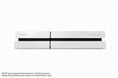 #004Υͥ/PlayStation 4Υ顼Хꥨ֥쥤㡼ۥ磻ȡפ109ñȯ䡣ºΡDUALSHOCK 4פ1113о
