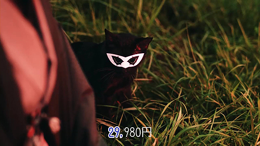 ꡼ No.010 | PS4βʤˤĤդäȤȲΤ̲¸PS4ȡ֥ڥ륽5פΥư褬