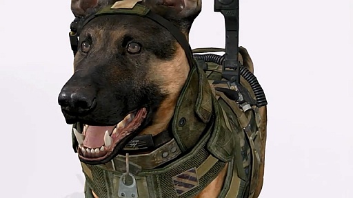 画像ギャラリー No.010のサムネイル画像 / Xbox Oneのイベントで「Call of Duty:Ghosts」の新たなフィーチャーを紹介する驚愕のトレイラーが公開