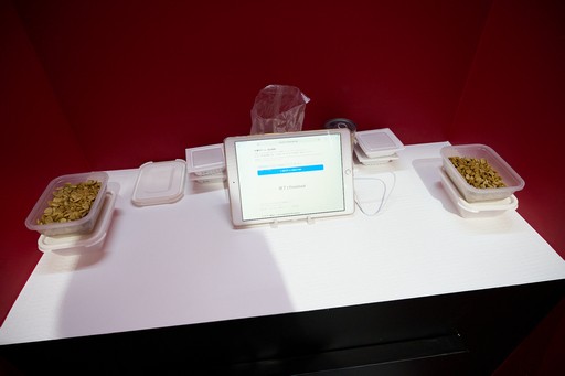 ꡼ No.006 | ֶʼϥХդˤʤ׶Ķ󥵥륿ȤΥ⥢Ÿȥѥեޥ󥹤δط֡θTGS2025