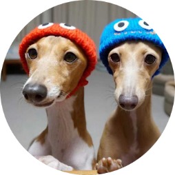 ꡼ No.003Υͥ / ̵ե饤󥻥ߥʡܤˤ륲ॿȥɡ֥ά饫饤ޤǡס924šϿ