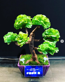 ꡼ No.017Υͥ / Υ󥿥ӥ塼ϡȥե饹ɤϤޤǿʲ䤷٥Ȥ̤ǿФ΢ʹ