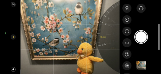 ꡼ No.009 | 䤷1ĤʤˡȥΥꥹȤʹ䤷ǿڤ̤饤ֱվޡ