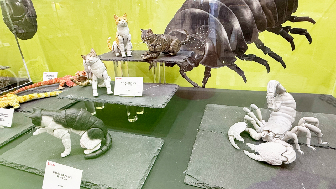 ꡼ No.020 | ȥɤޤ̴ζ֥֡ݥĶ̴Ÿ 2025פݡȡ󥰤ǤΥ󥹥󥸤䡤ѥѥեܡΥơʤ