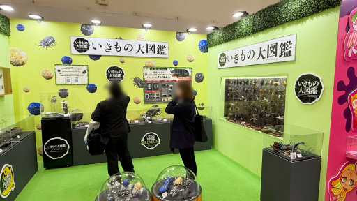 ���������꡼ No.019�Υ���ͥ������ / �ȥ����ɤ����ޤ�̴�ζ��֥֡�����ݥ��Ķ̴��Ÿ 2025�פ��ݡ��ȡ��������󥰤ǤΥ��󥹥����󥸤䡤�ѥ�ѥեܡ������Υ��ơ����ʤ������������