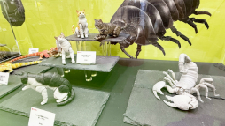 ���������꡼ No.020�Υ���ͥ������ / �ȥ����ɤ����ޤ�̴�ζ��֥֡�����ݥ��Ķ̴��Ÿ 2025�פ��ݡ��ȡ��������󥰤ǤΥ��󥹥����󥸤䡤�ѥ�ѥեܡ������Υ��ơ����ʤ������������