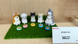 ���������꡼ No.030�Υ���ͥ������ / �ȥ����ɤ����ޤ�̴�ζ��֥֡�����ݥ��Ķ̴��Ÿ 2025�פ��ݡ��ȡ��������󥰤ǤΥ��󥹥����󥸤䡤�ѥ�ѥեܡ������Υ��ơ����ʤ������������