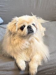 ꡼ No.009 | Υ󥿥ӥ塼ϡ֥ϥ塼!!ס֥ҥ׷ȼȡӤ椦᤬롪̤̾벻ڤȡֵȼספؤۤ