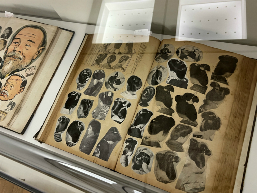 ꡼ No.022Υͥ / ΩѴۤǳΡ֤Τ !! ޥ󥬡˥ᡦŸ in Tokyo 2025פݡȡʸ̤ؤĤʤߤ˿Ƥ