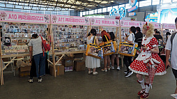 ꡼ No.029Υͥ / Υॷ祦ChinaJoy 2025׳롪 ٥ȵϤηĴʳˤTGS渪ɡƤΥĥľ峤740ҰʾŸCJ2025