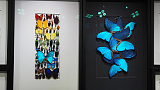 ꡼ No.032Υͥ / Υॷ祦ChinaJoy 2025׳롪 ٥ȵϤηĴʳˤTGS渪ɡƤΥĥľ峤740ҰʾŸCJ2025