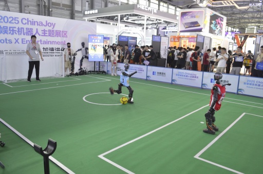 ꡼ No.001 | ȰȤ˰ɤλϰճ᤯롩ԻͤγȯץŪäܥåȤҲCJ2025