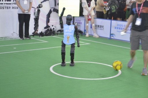 ꡼ No.003 | ȰȤ˰ɤλϰճ᤯롩ԻͤγȯץŪäܥåȤҲCJ2025