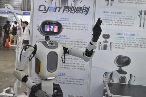 ꡼ No.006 | ȰȤ˰ɤλϰճ᤯롩ԻͤγȯץŪäܥåȤҲCJ2025