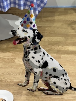 ꡼ No.039 | 㥷硼2025ײݡȡҤɤϤͤڤ뿷¿о