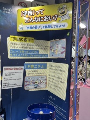 ꡼ No.063 | 㥷硼2025ײݡȡҤɤϤͤڤ뿷¿о