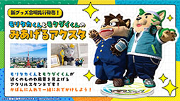 ꡼ No.010Υͥ / 8 񥨥󥿥ޤĤפ˥ϥॹroom6λäꡣƥ᡼νŸ1Ƥ餫