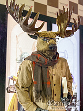 ꡼ No.274Υͥ / TGS 2025 ѥ˥ץ쥤䡼̿ZIPեʤˤϤ6ǯ֤420硤ѤԤޤġġ