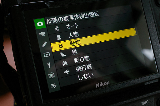 画像ギャラリー No.015のサムネイル画像 / 犬猫のお写真をいっぱい撮っただけでゴメンナサイ！　おもしろワンニャンアイテムたくさんの“インターペット2026”