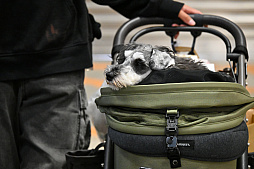 画像ギャラリー No.068のサムネイル画像 / 犬猫のお写真をいっぱい撮っただけでゴメンナサイ！　おもしろワンニャンアイテムたくさんの“インターペット2026”