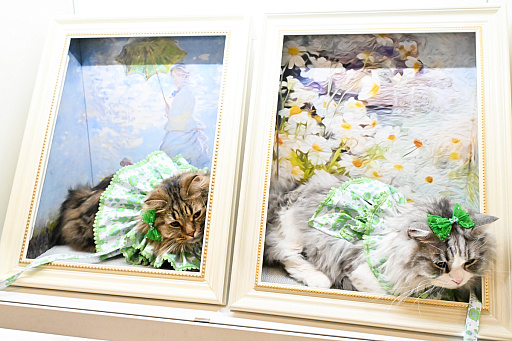 画像ギャラリー No.074のサムネイル画像 / 犬猫のお写真をいっぱい撮っただけでゴメンナサイ！　おもしろワンニャンアイテムたくさんの“インターペット2026”