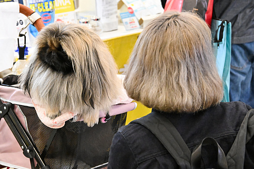 画像ギャラリー No.079のサムネイル画像 / 犬猫のお写真をいっぱい撮っただけでゴメンナサイ！　おもしろワンニャンアイテムたくさんの“インターペット2026”