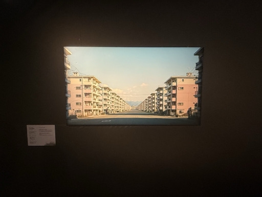 ���������꡼ No.009�Υ���ͥ������ / ��ë�ǡֶ��ݿ�Ÿ�׳����档�ͤκ���ˤ���ȶ���ɤ˿��졤��ʬ��¾�Ԥ��Ǥ��Ф����Ÿ���θ�