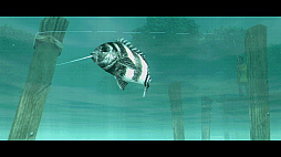 About Fishing