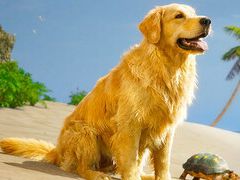 ゴミまみれの無人島を大掃除！ 1人と1匹で理想的な環境を作り上げていくスローライフ型シム「Restore Your Island」がSteamで本日発売