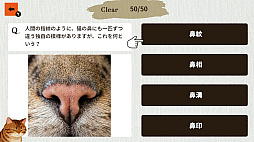 猫博士　下僕用ー本気で学ぶ猫様の取扱説明書ー