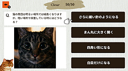 猫博士　下僕用ー本気で学ぶ猫様の取扱説明書ー