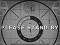 ٤FalloutΤ BethesdaWebȤˡPLEASE STAND BYפʤΥڡо
