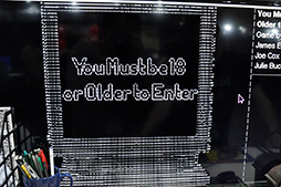 ꡼ No.002 | TGS 2016ϡ֤줳ǥࡪפȤʤYou Must be 18 or Olderפץ쥤Ƥߤ