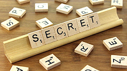 ꡼ No.003Υͥ / GDC 2019WebȤȹ񥼥ɤΤޤSteamǥ䤷ƤߤγȯԤ̤ʹ¸η̤