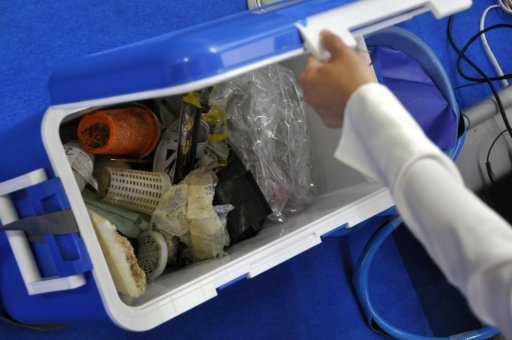 ꡼ No.016 | TGS 2019ϺǯؤäƤޤΥϥԡɥ̡ɥ륢ڤĺ׻ͷݡȤǺ