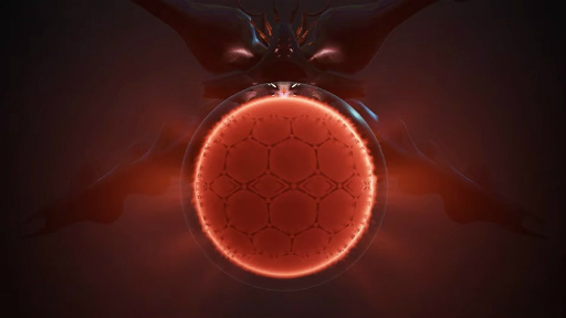 ꡼ No.009 | LIMBOINSIDEȯοCOCOONפȯɽˡ֥Ȥ򱿤ƻڤ곫ѥå