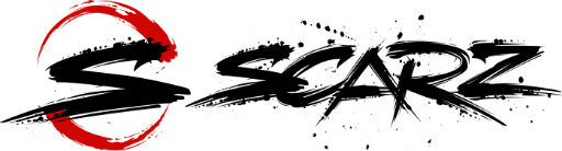 ���������꡼ No.002�Υ���ͥ������ / �ץ�e���ݡ��ĥ������SCARZ�ס������ߥ�PC�֥��ɡ�GALLERIA�ɤȤΥ��ݥ󥵡����������ȯɽ