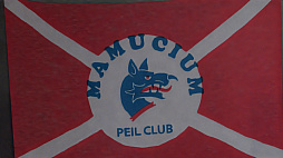 ꡼ No.008Υͥ / 1970ǯλͻɤThe Rise of the Golden IdolTGAȥ쥤顼