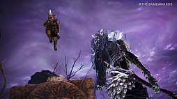 ���������꡼ No.010�Υ���ͥ������ / ����ǥ��󥰤Υ��ԥ󥪥ա�ELDEN RING NIGHTREIGN��ȯɽ��3�ͥץ쥤�ǡ�3���֤�����ȴ���ɶ��Ϸ����Х��Х륢��������