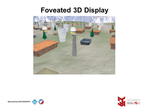 Foveated 3D Displayθ饤