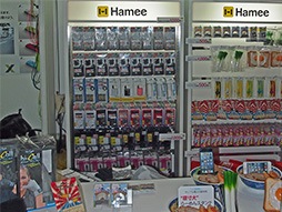 ꡼ No.012 | TGS 2013ϡ֥ޡȥե󡦥꡼쥯2013ץʡǸĤͥΤҲ